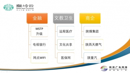 陜西廣電網(wǎng)絡(luò)集客業(yè)務(wù)百花齊放 專網(wǎng)專線、信息化集成與電視門戶的多元發(fā)展